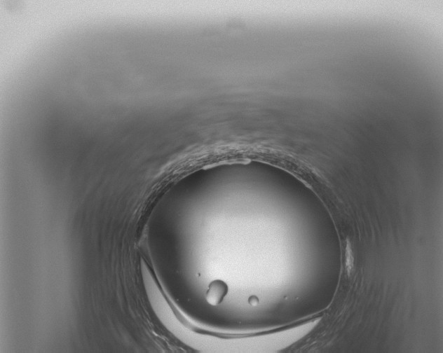 X0000059831492200510281744