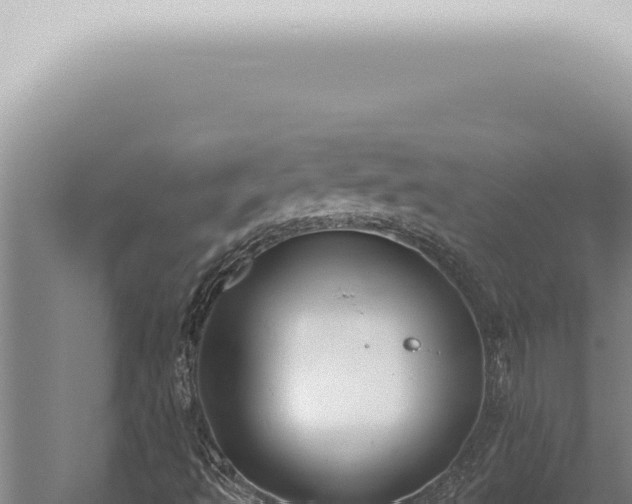 X0000059831493200510281744