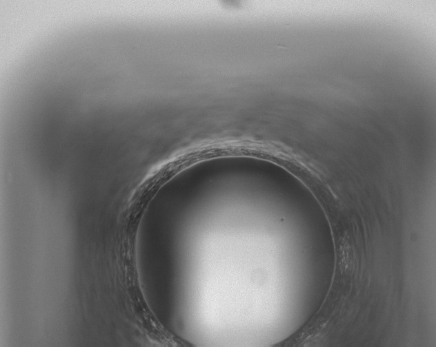 X0000059831494200510281744