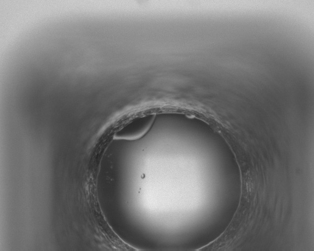 X0000059831495200510281744