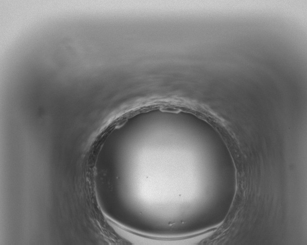 X0000059831496200510281744