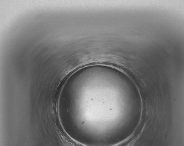 X0000059831497200510281744