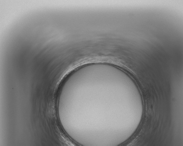 X0000059831498200510281744