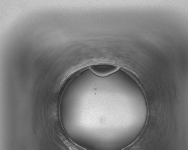 X0000059831499200510281744