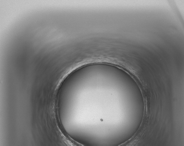 X0000059831500200510281744