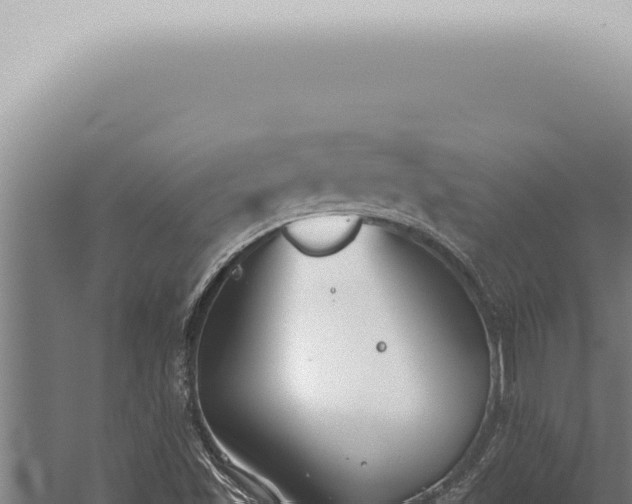 X0000059831501200510281744