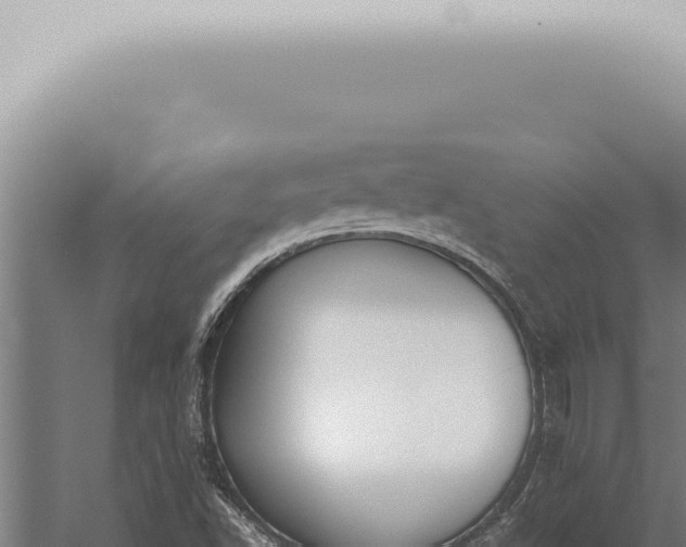 X0000059831502200510281744