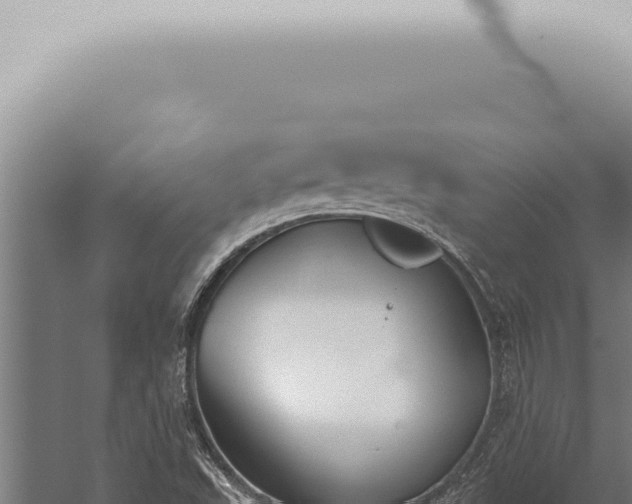 X0000059831503200510281744