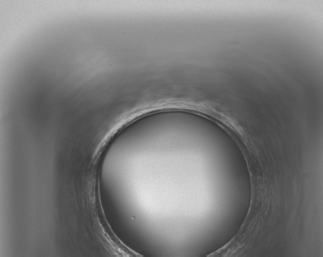 X0000059831504200510281744