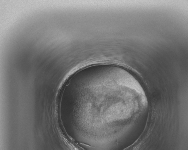 X0000059831506200510281744