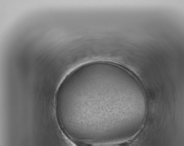 X0000059831508200510281744