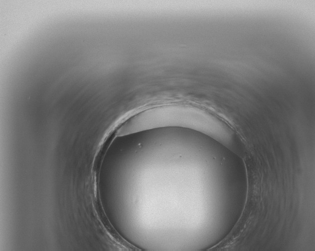 X0000059831509200510281744