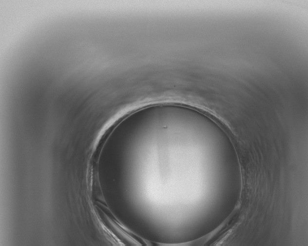 X0000059831510200510281744