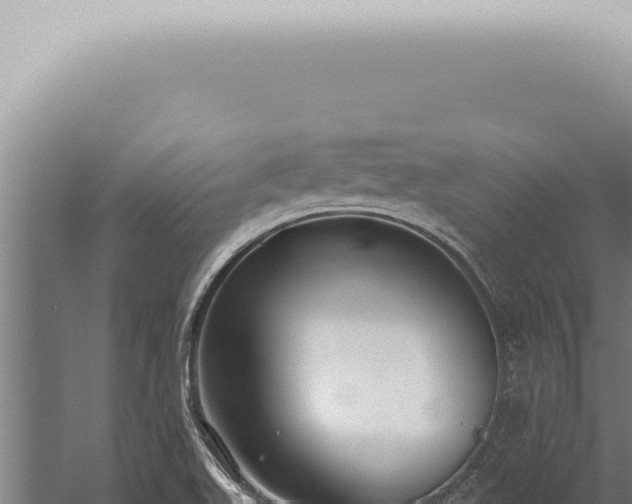 X0000059831511200510281744