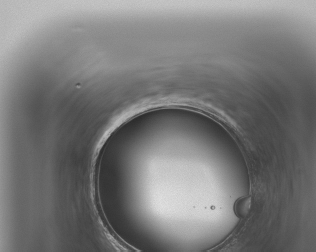 X0000059831512200510281744