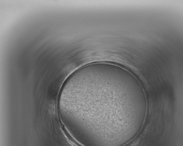 X0000059831513200510281744