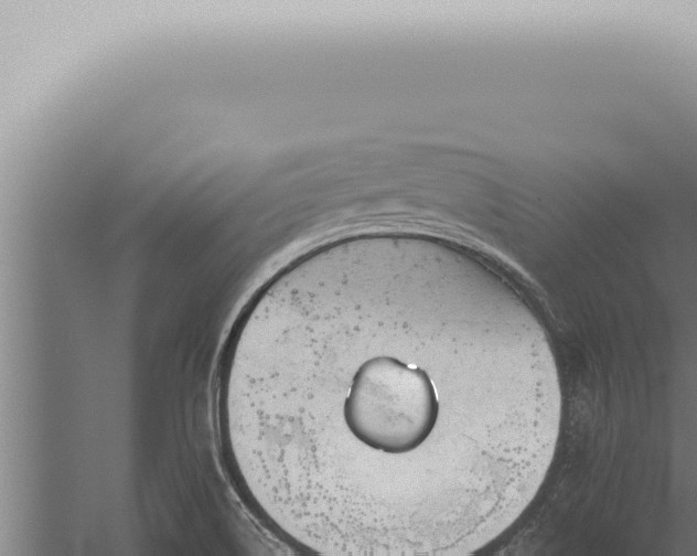 X0000059831514200510281744