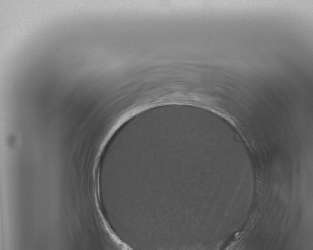 X0000059831515200510281744