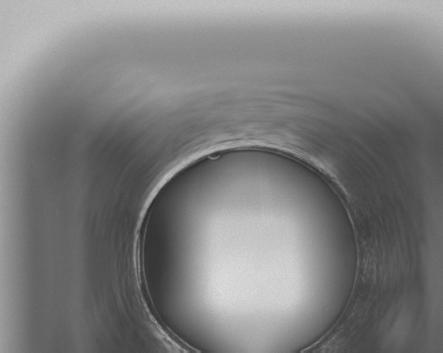 X0000059831516200510281744