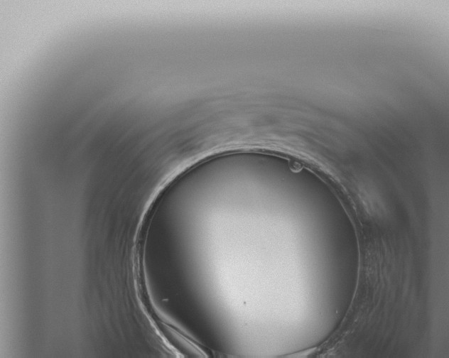 X0000059831517200510281744