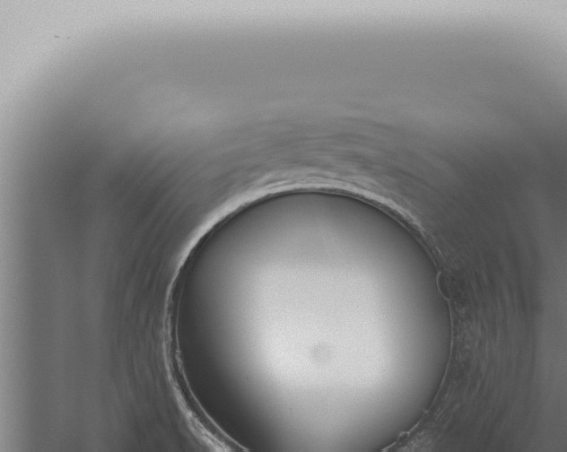 X0000059831518200510281744