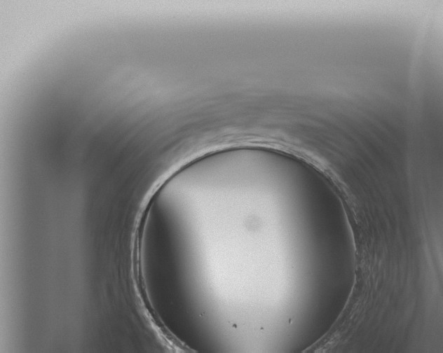 X0000059831520200510281744