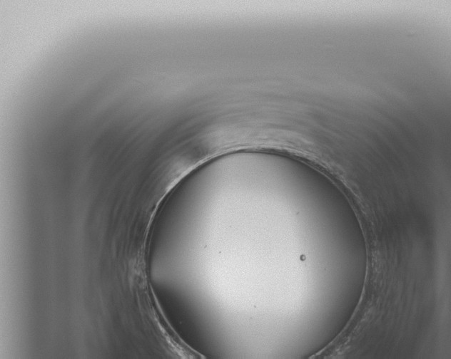 X0000059831521200510281744