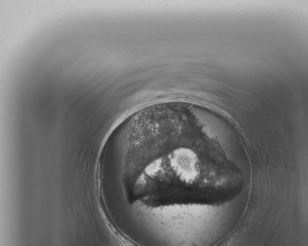 X0000059831522200510281744