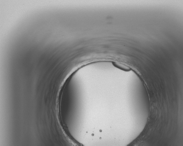 X0000059831523200510281744