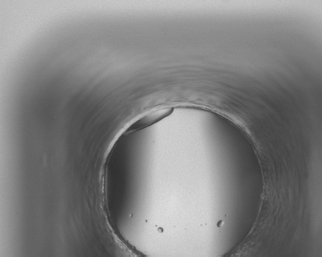 X0000059831524200510281744