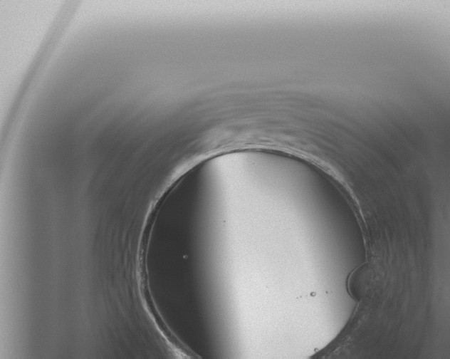 X0000059831525200510281744