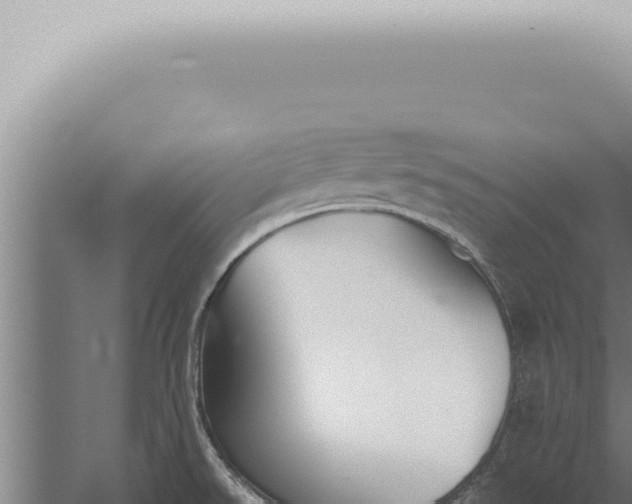 X0000059831526200510281744