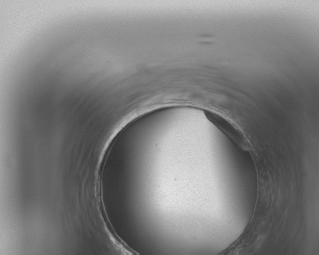 X0000059831527200510281744