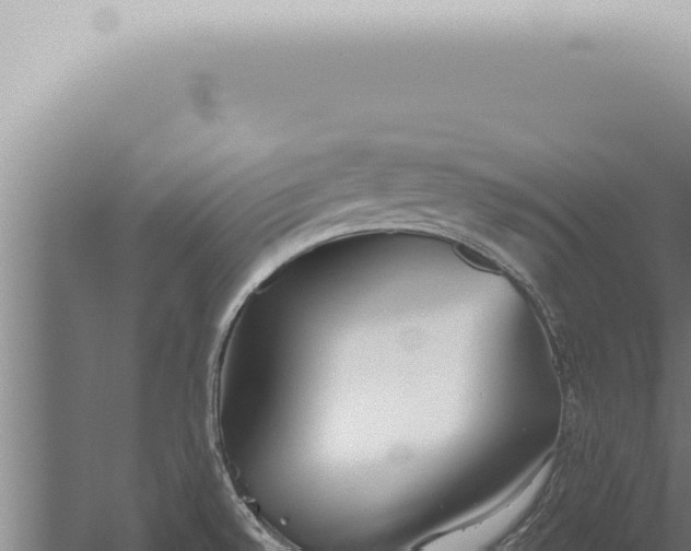 X0000059831528200510281744