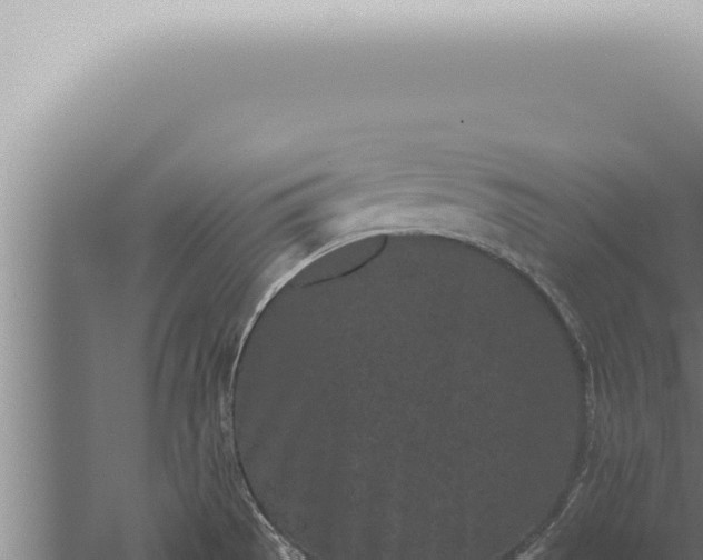 X0000059831529200510281744