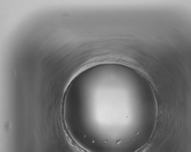 X0000059831530200510281744