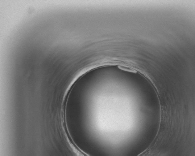 X0000059831531200510281744