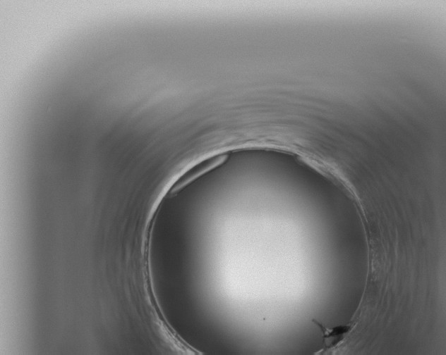 X0000059831532200510281744