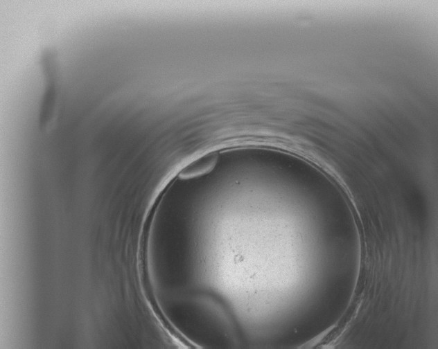 X0000059831533200510281744