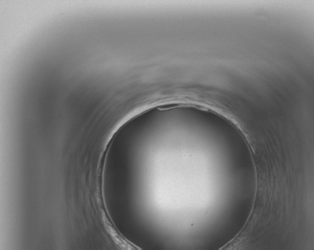 X0000059831534200510281744