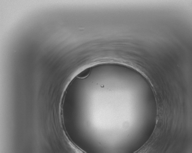 X0000059831535200510281744