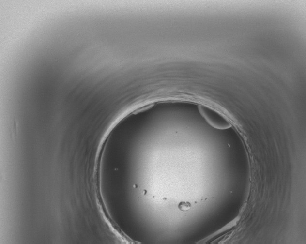 X0000059831536200510281744