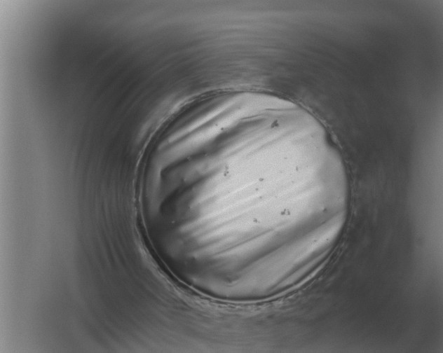 X0000059830002200511041758