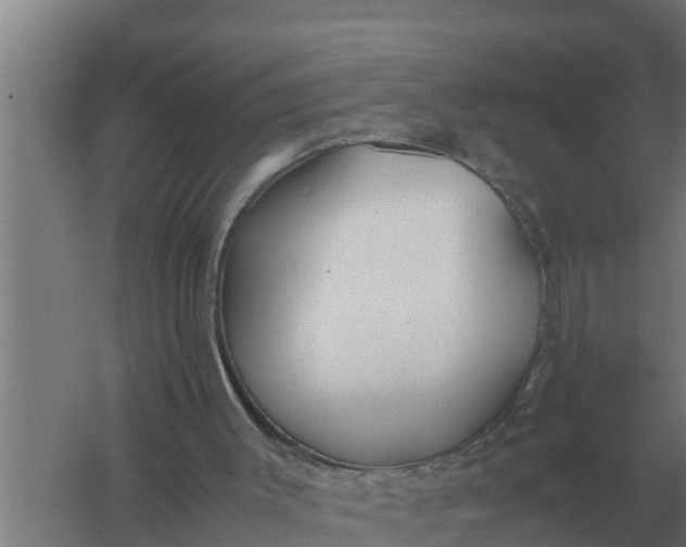 X0000059830003200511041758