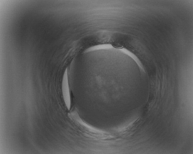 X0000059830035200511041758