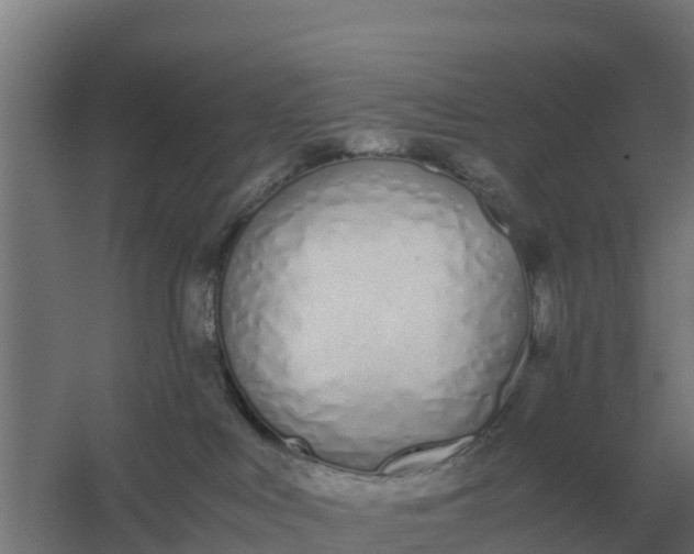 X0000059830043200511041757