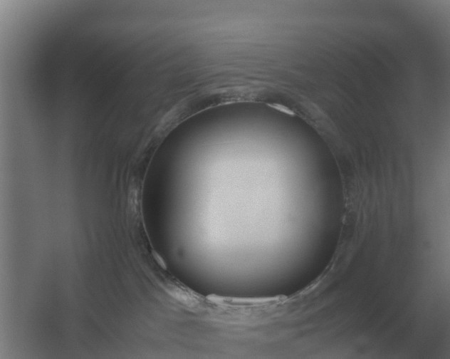 X0000059830045200511041757