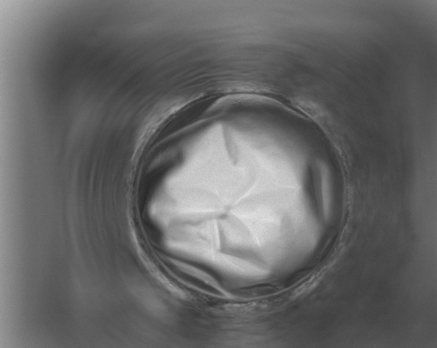 X0000059830049200511041756