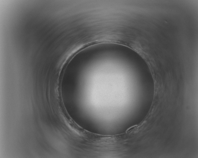 X0000059830050200511041757