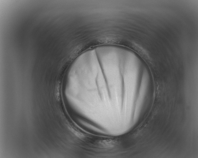 X0000059830065200511041757